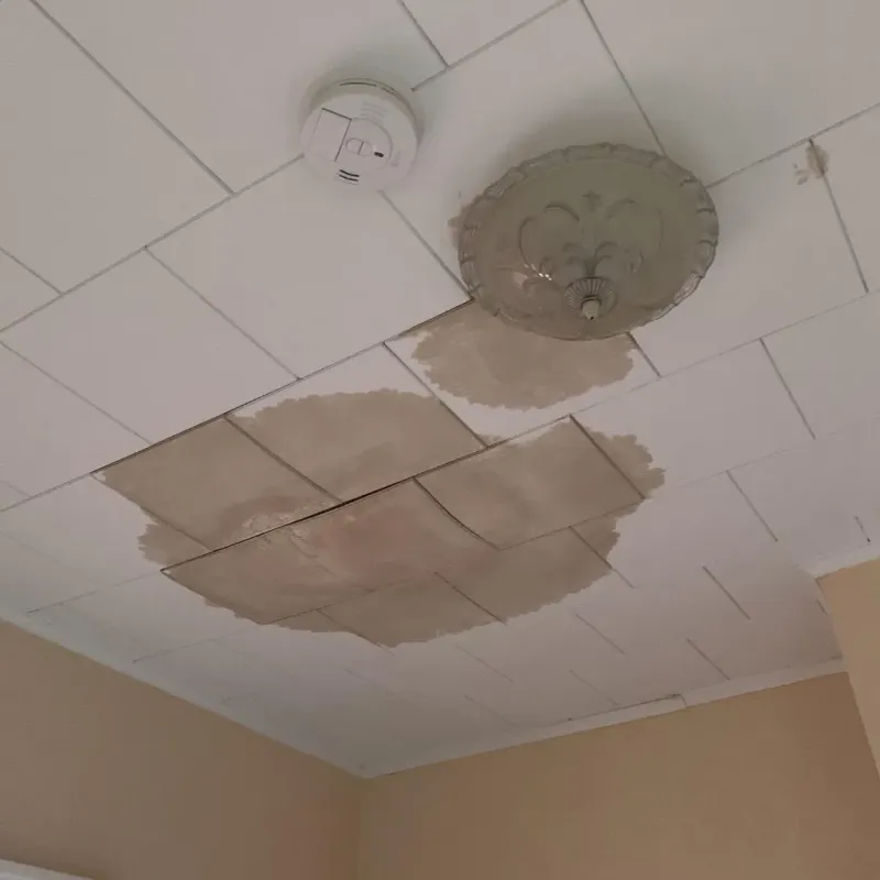Ceiling Water Damage Repair in Italy, TX