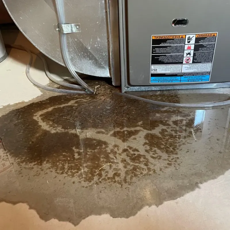 Pipe Burst and Leak Restoration in Italy, TX