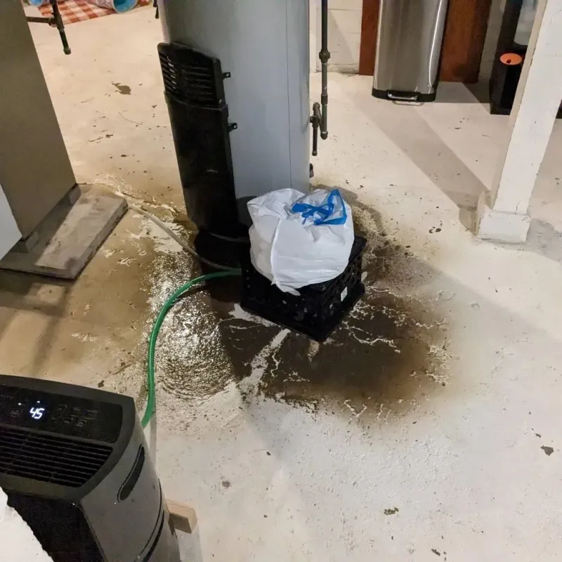Sewage Backup Cleanup Service in Italy, TX
